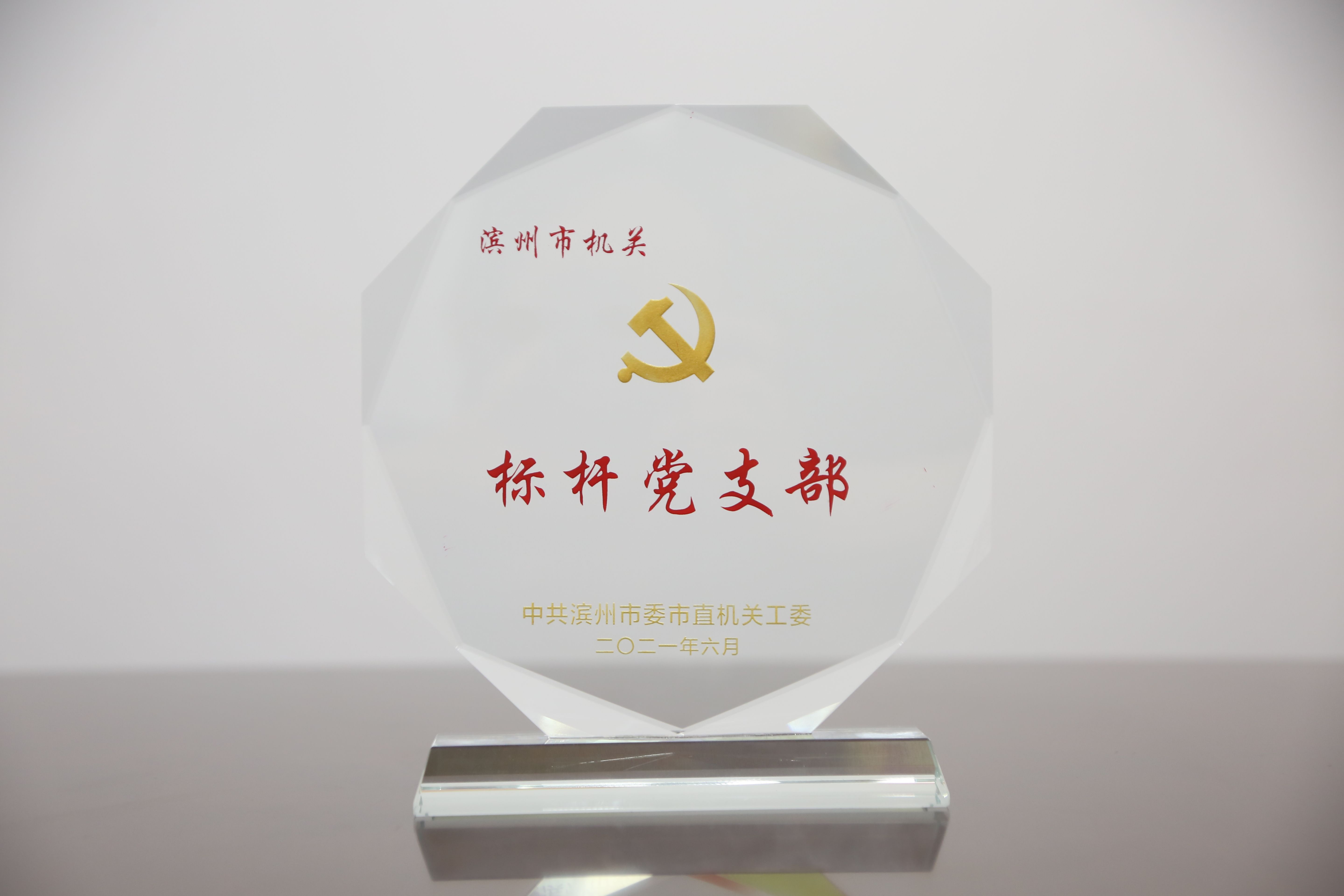 1.標(biāo)桿支部獎(jiǎng)杯.jpg